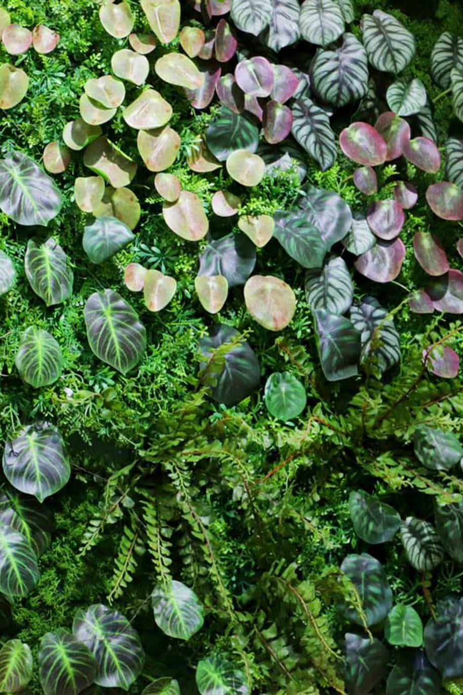 Green Vertical Garden Wall Foliage