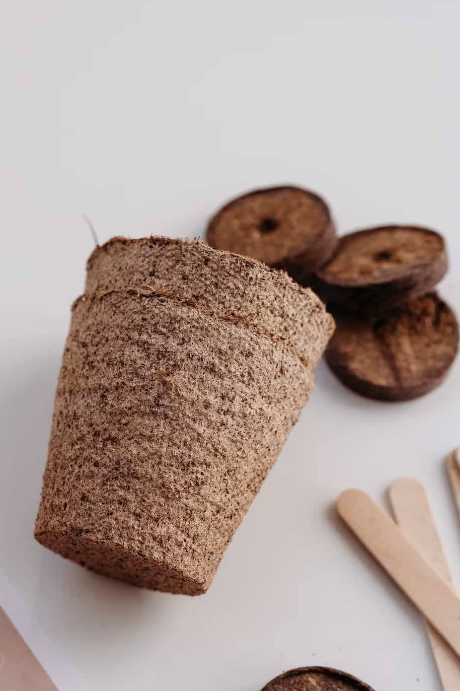 Mini Boxed Plant Grow Kit