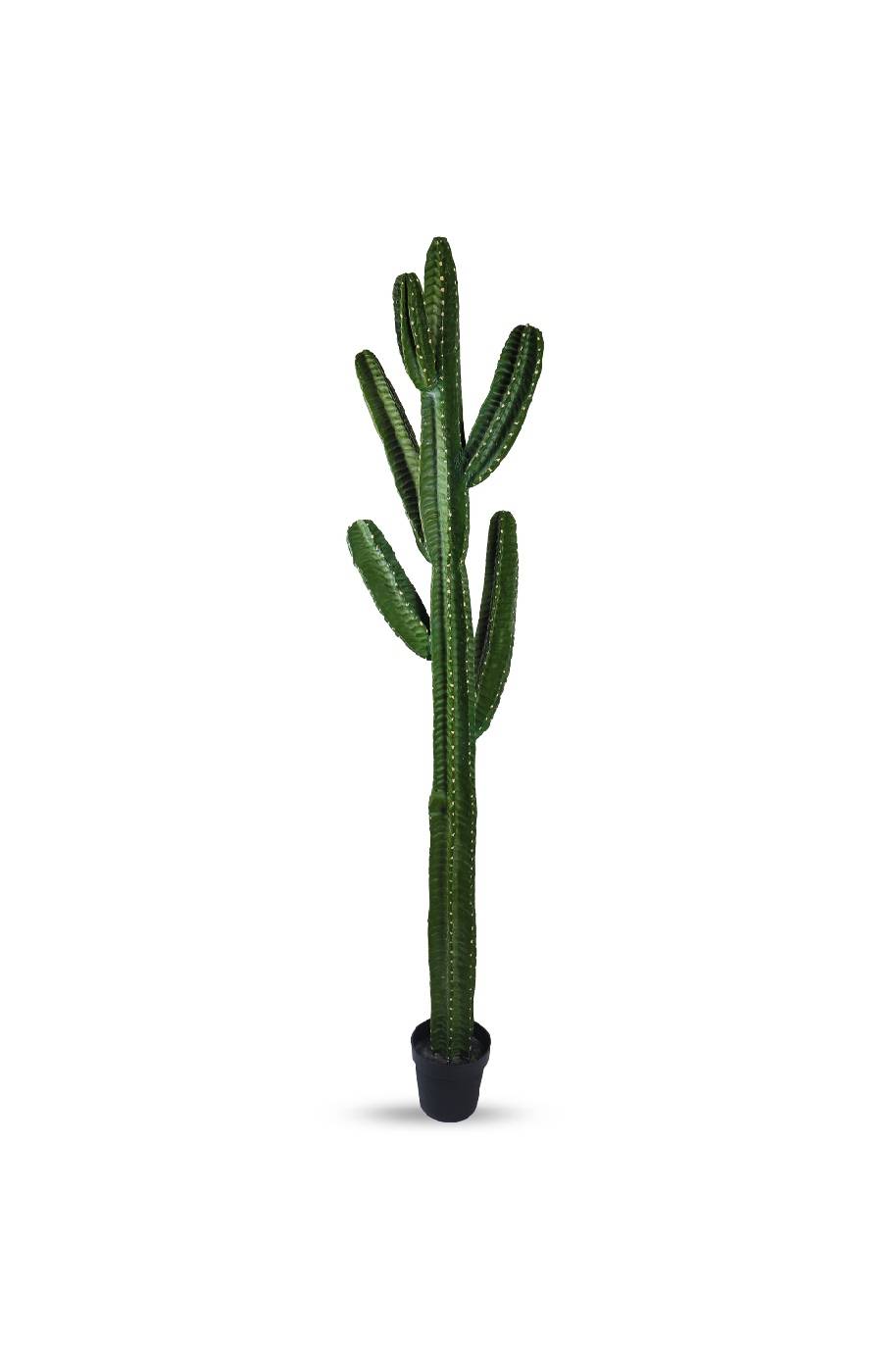 Hedge Cactus Artificial
