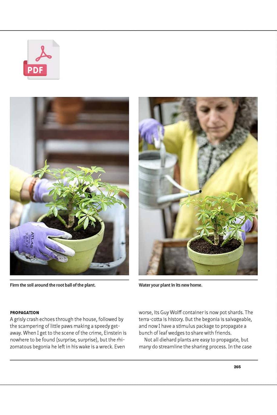 Indestructible Houseplant - 224 pages - Digital Ebook - PDF - image 4