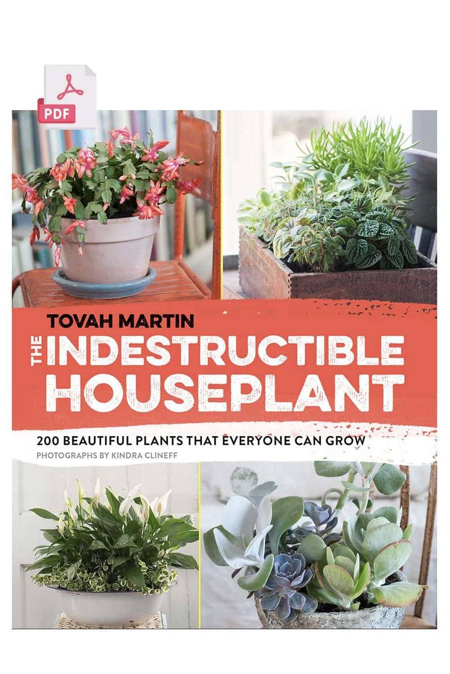 Indestructible Houseplant - 224 pages