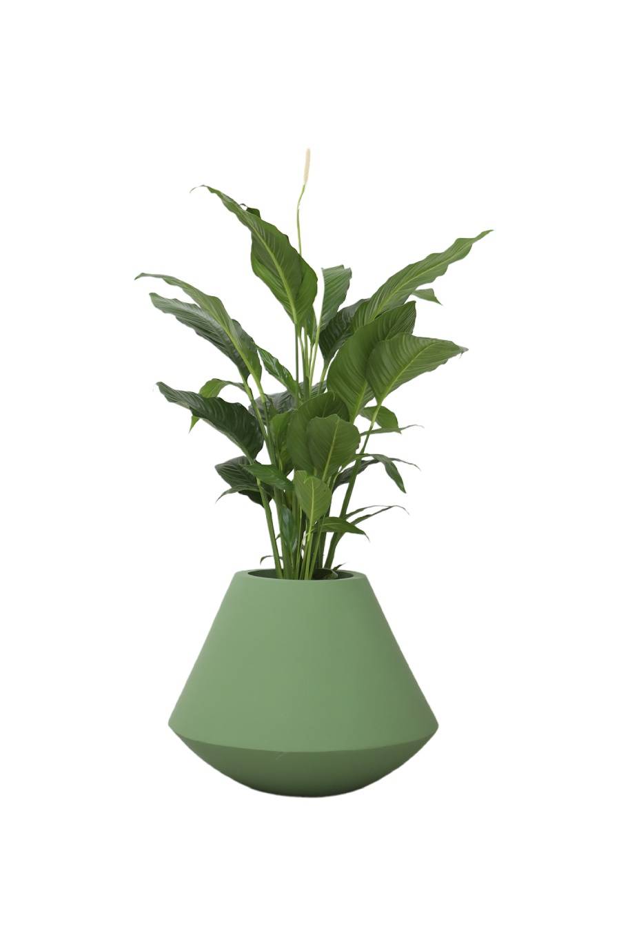 PS Decor
