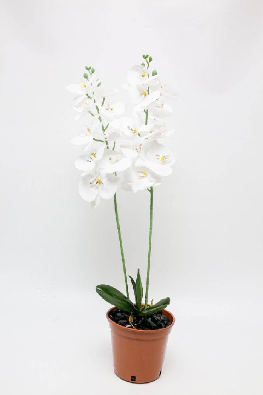Phalaenopsis Orchid Artificial 2 Stem