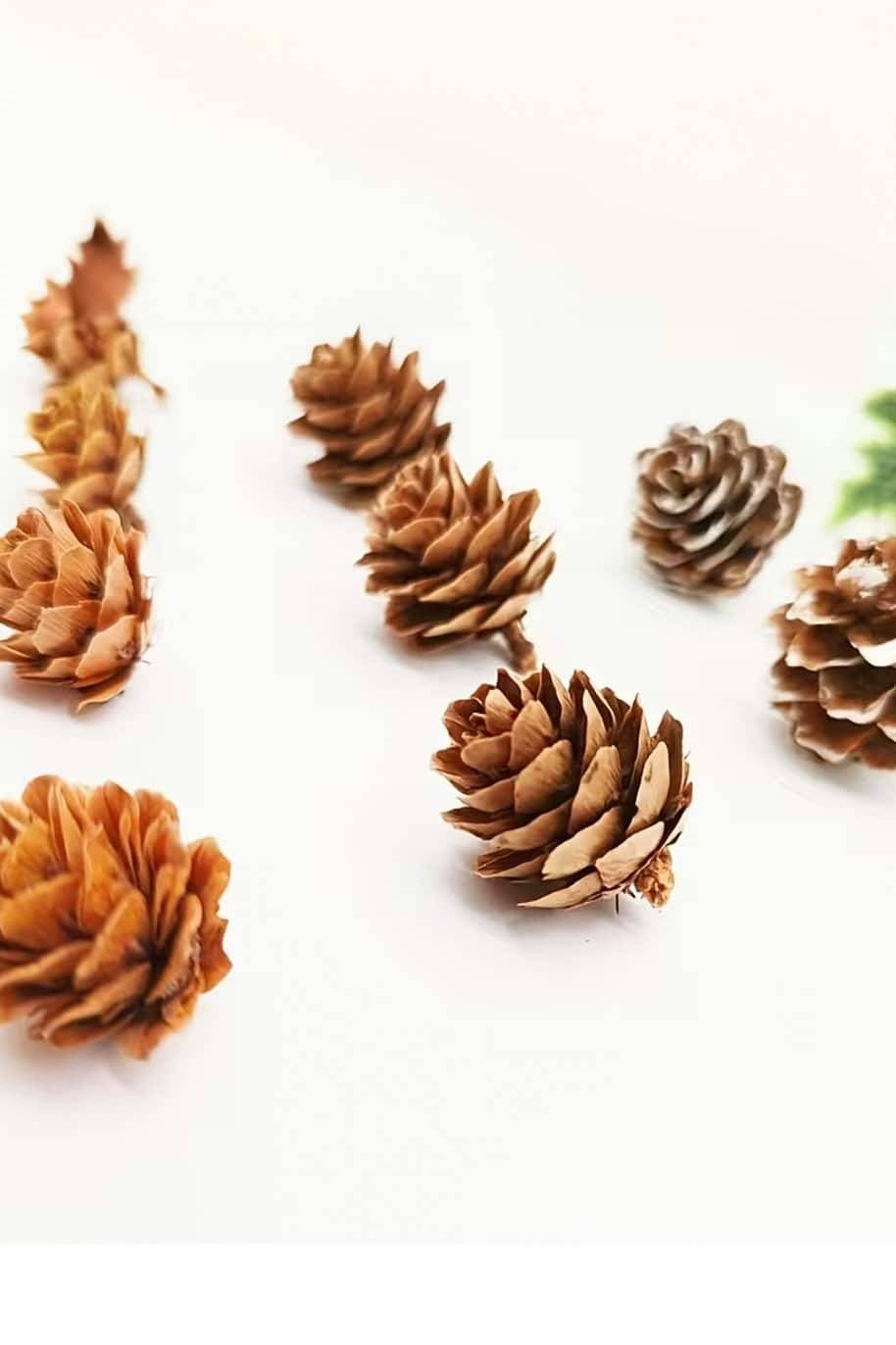 Natural Pine Cone Small