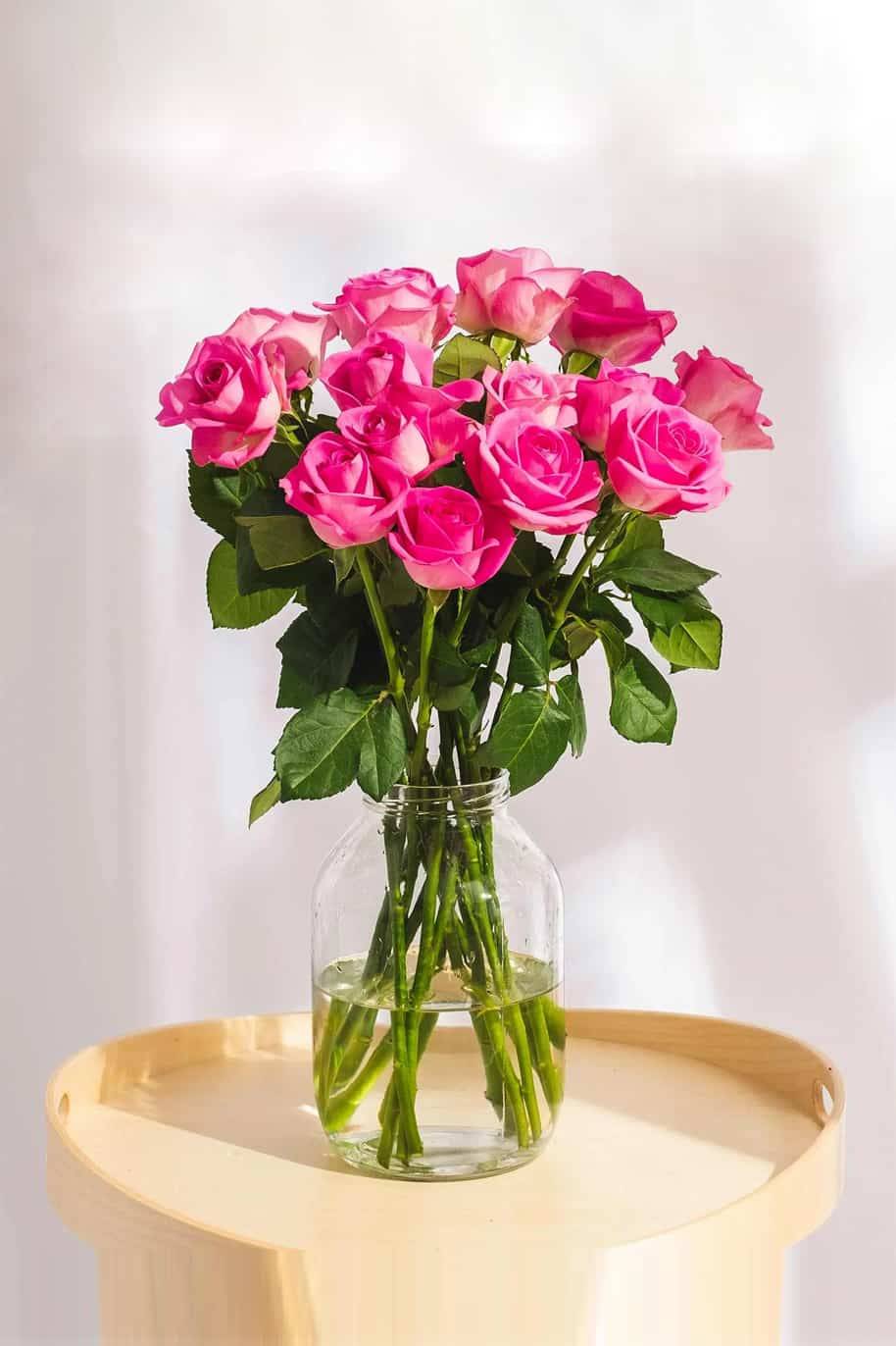 Pink Blooms