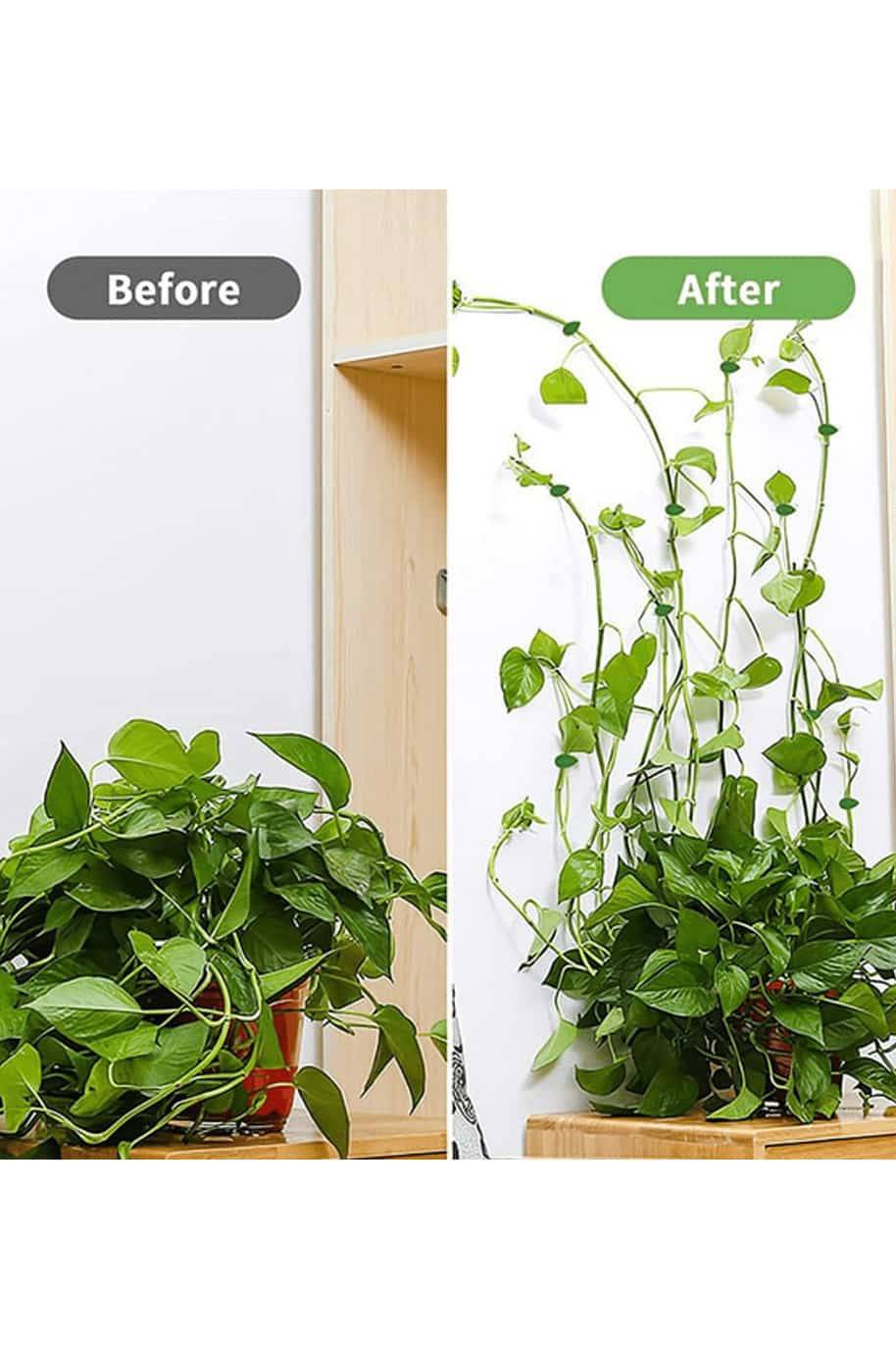 Plant Fixture Clip