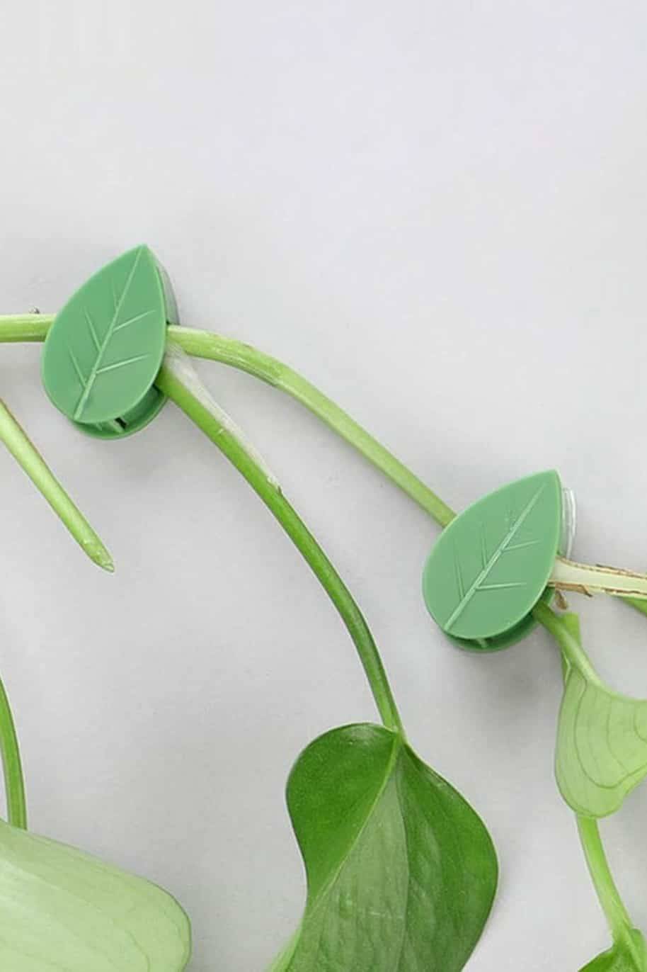 Plant Fixture Clip