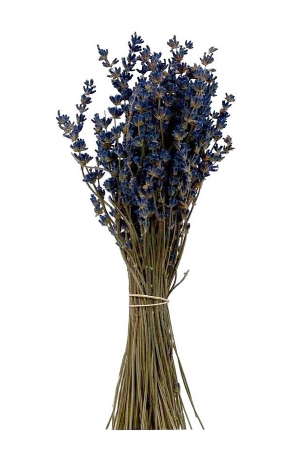 Preserved Lavender Flowers