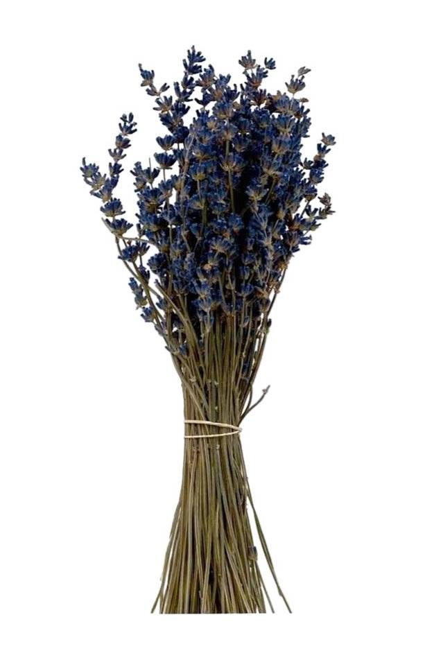 Preserved Lavender Flowers