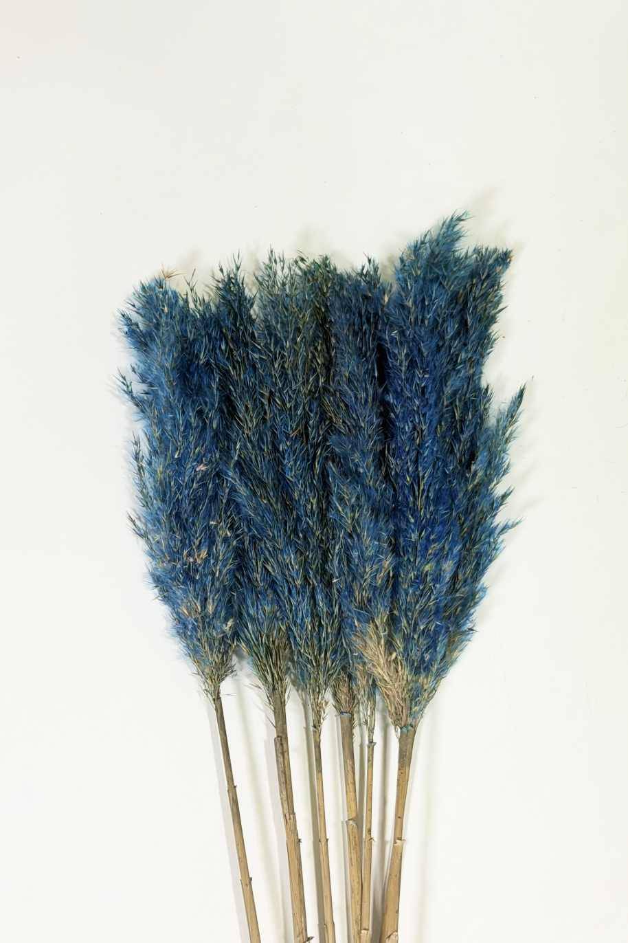 Preserved Pampas Grass Dark Blue