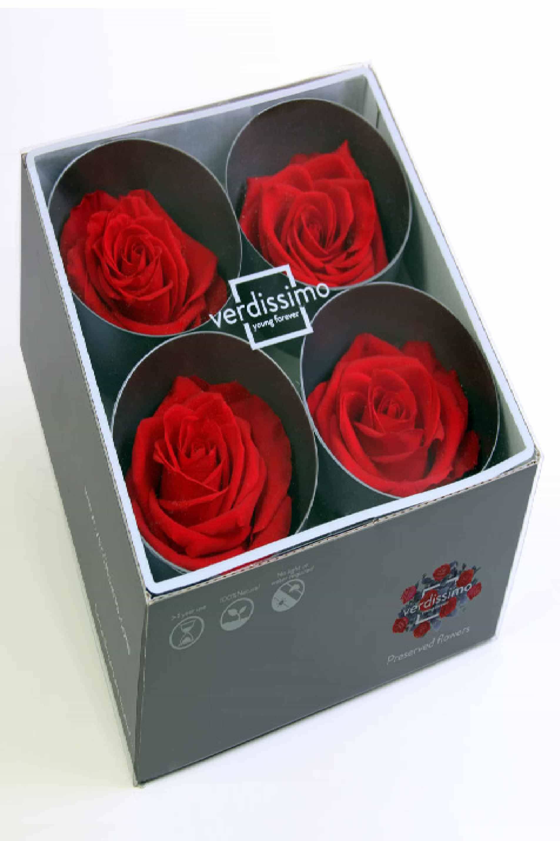 Preserved Roses 4pcs in box