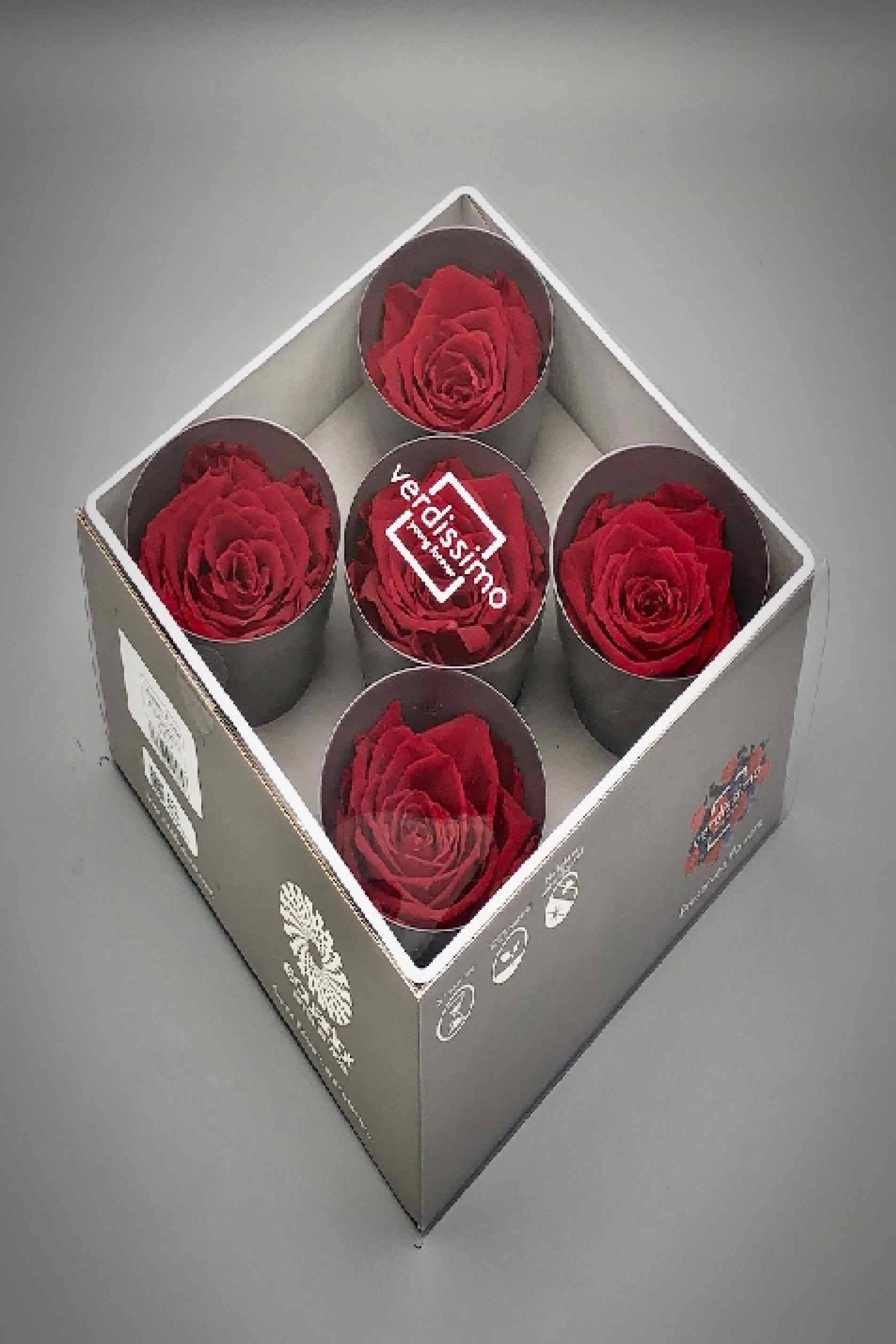 Preserved Roses Burgundy 5pcs in Box
