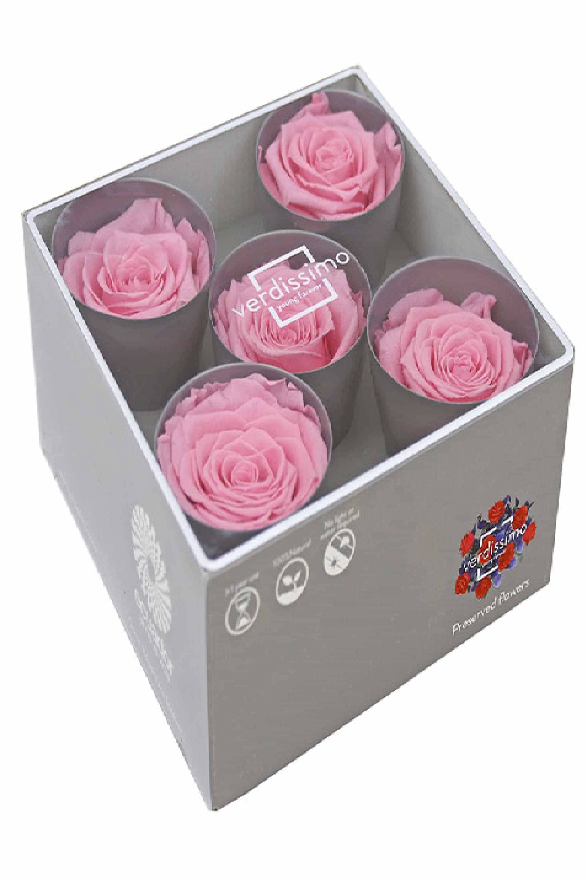 Preserved Roses Pink 5pcs in Box