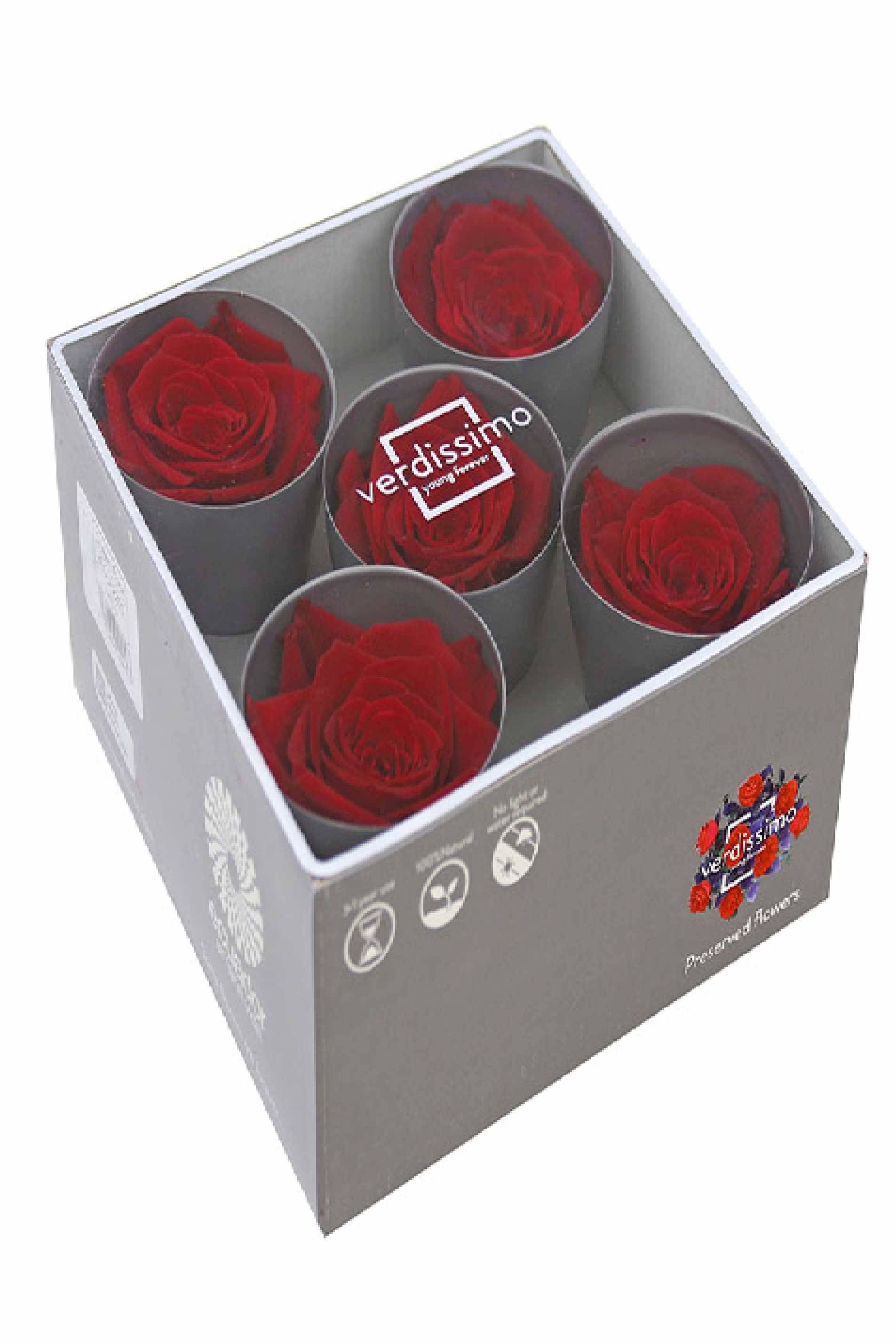 Preserved Roses Red 5pcs in Box