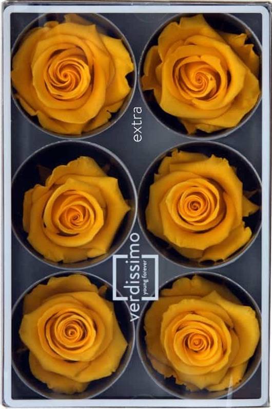 Preserved Roses Warm Yellow