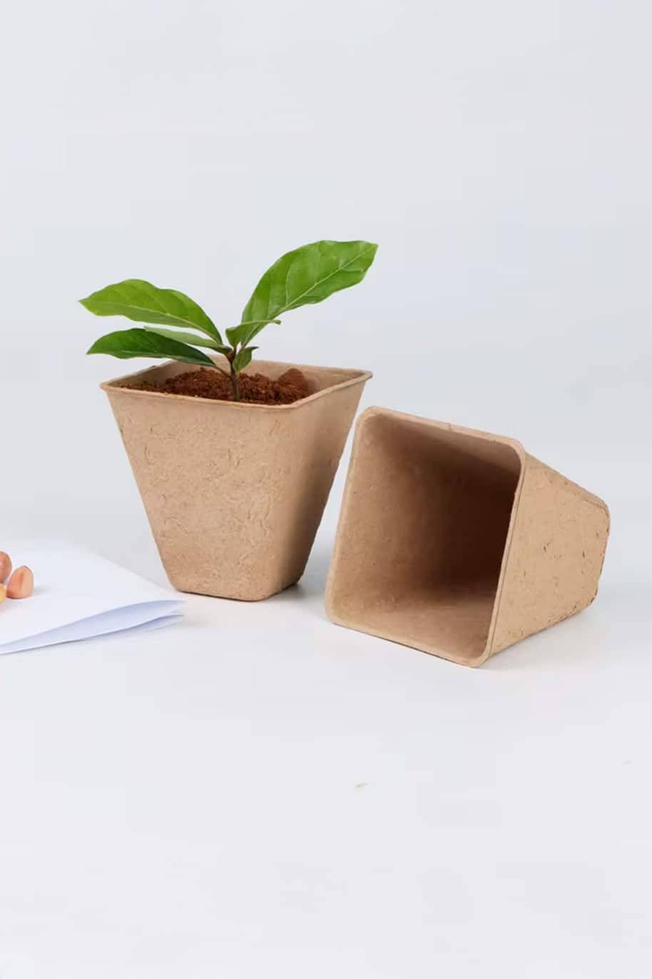 Pulp Seedling Cups