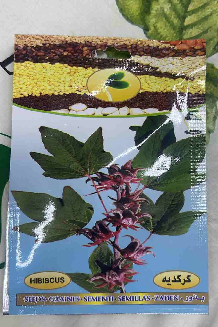 Hibiscus Sabdariffa