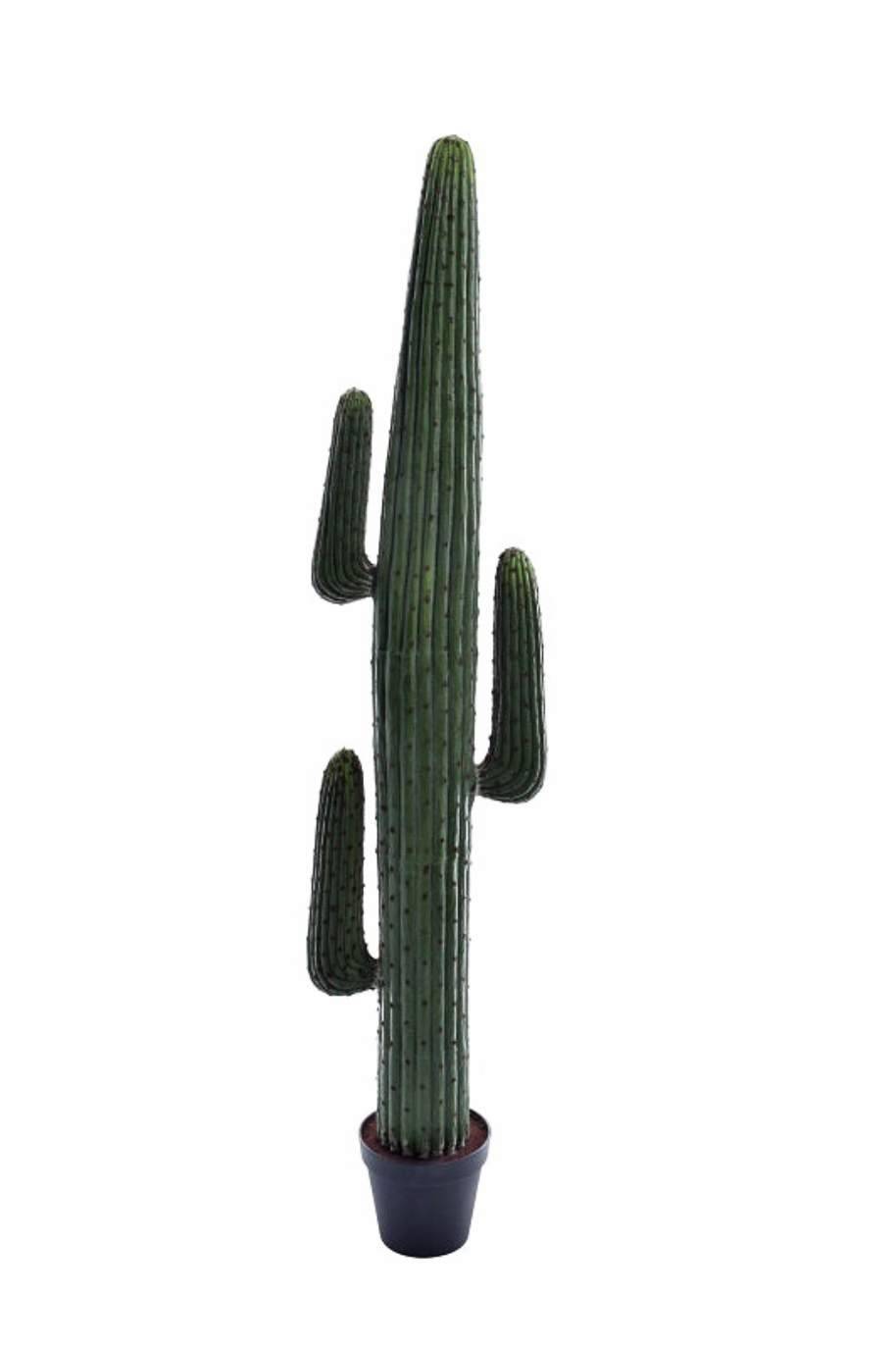 Saguaro Cactus Artificial