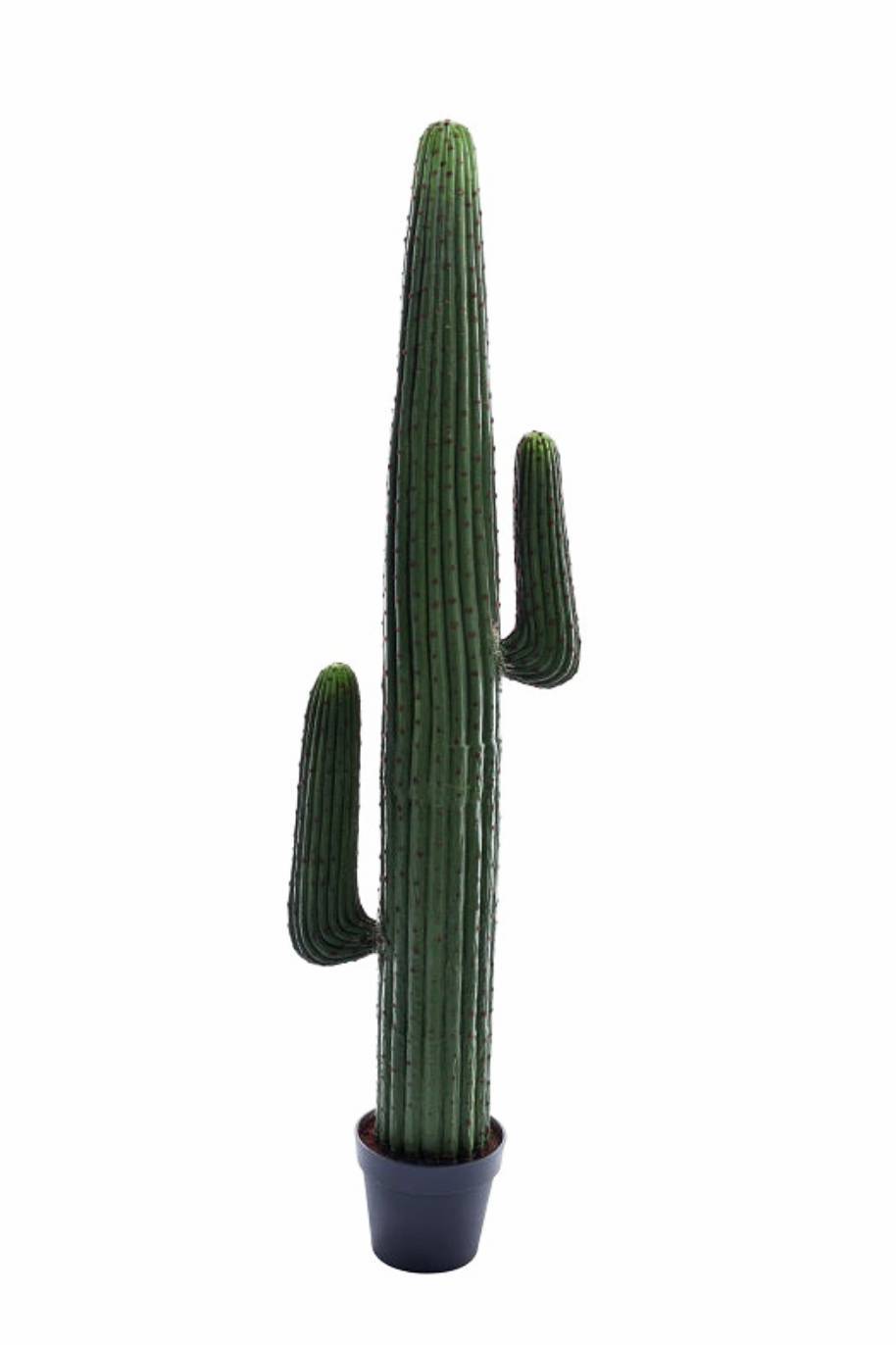 Saguaro Cactus Artificial