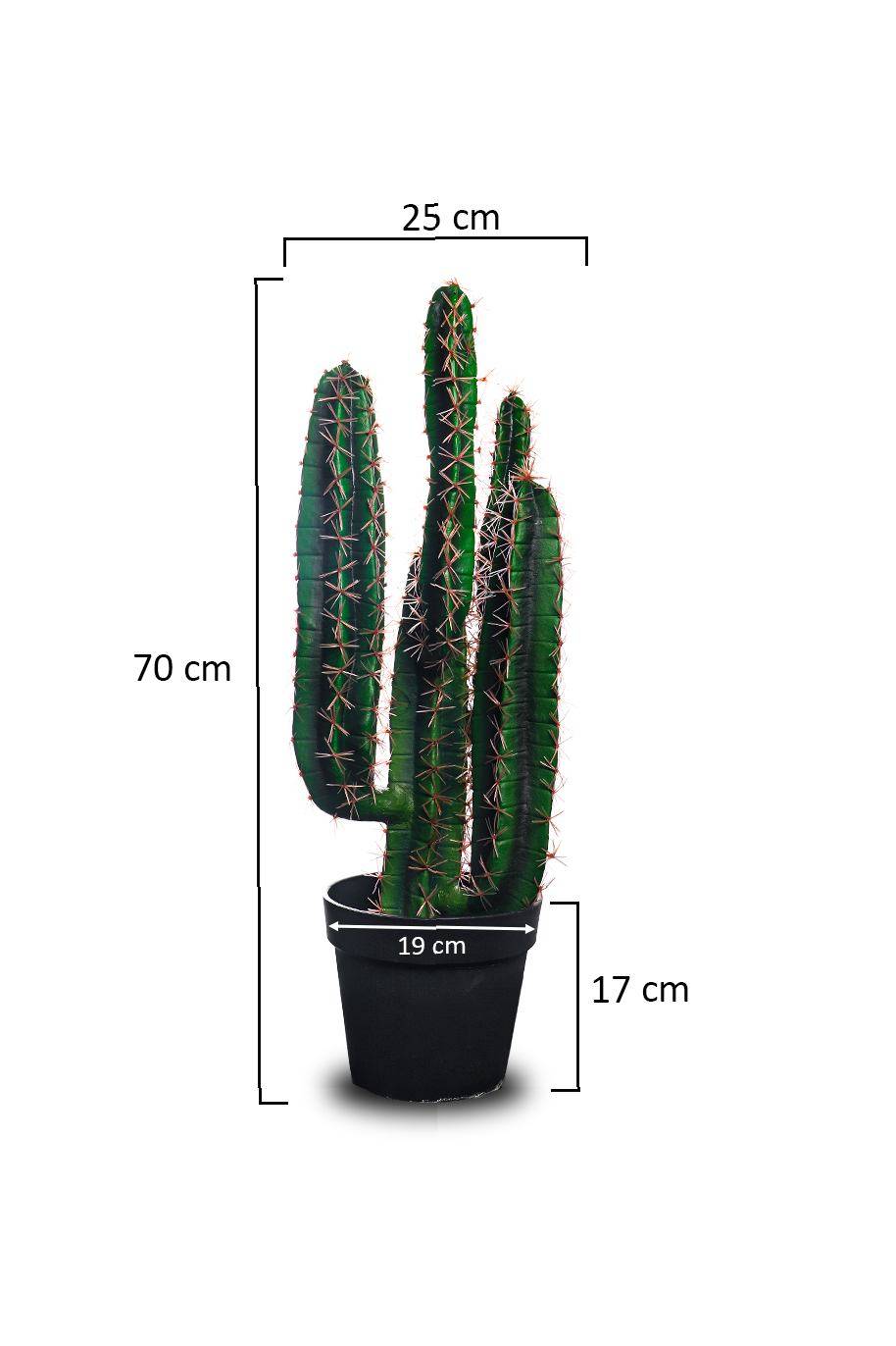 San Pedro Cactus Artificial