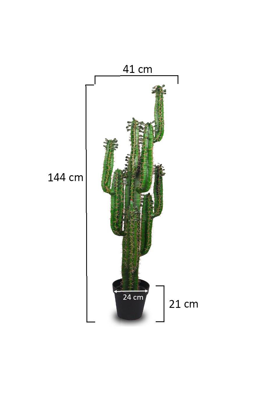 San Pedro Cactus Artificial