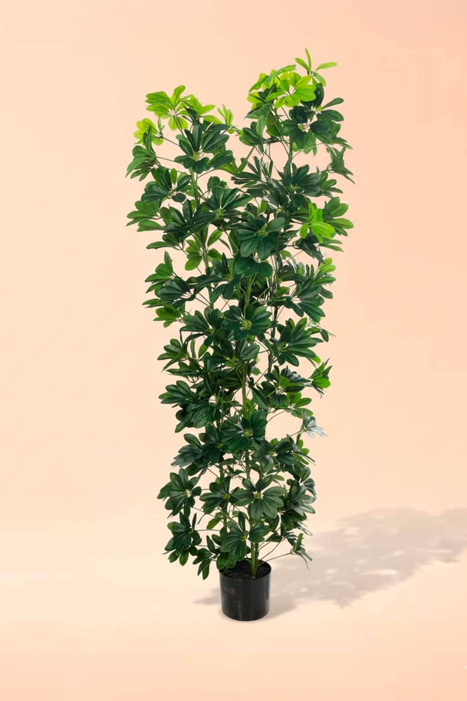 Schefflera Green Artificial Plant