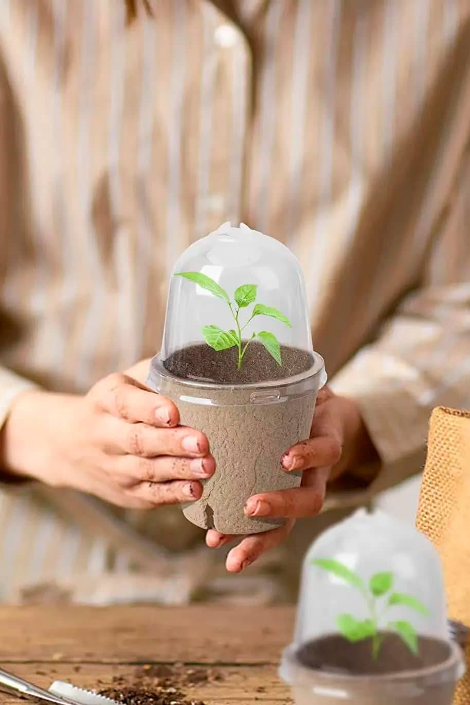 Seed Grow Peat Pots - PS Gardening - image 2