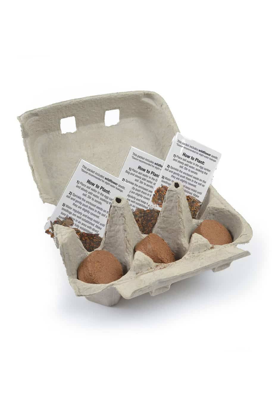 Recycled Egg Tray Grow Kit
