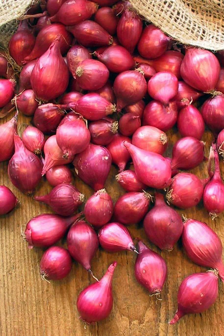 Small Red Onion Seeds