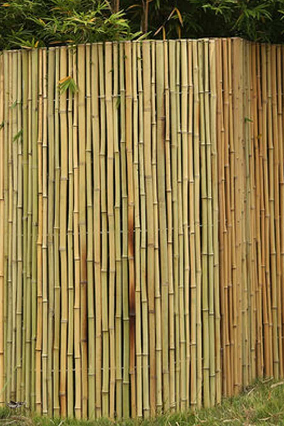 Thick Bamboo Fence Roll