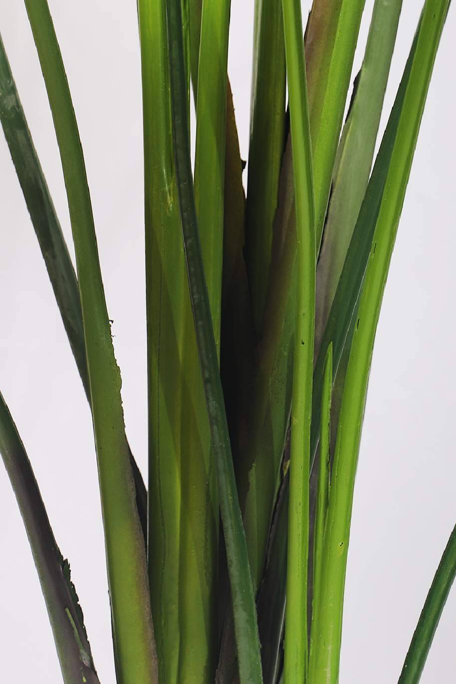 Travellers Palm Artificial 230cm