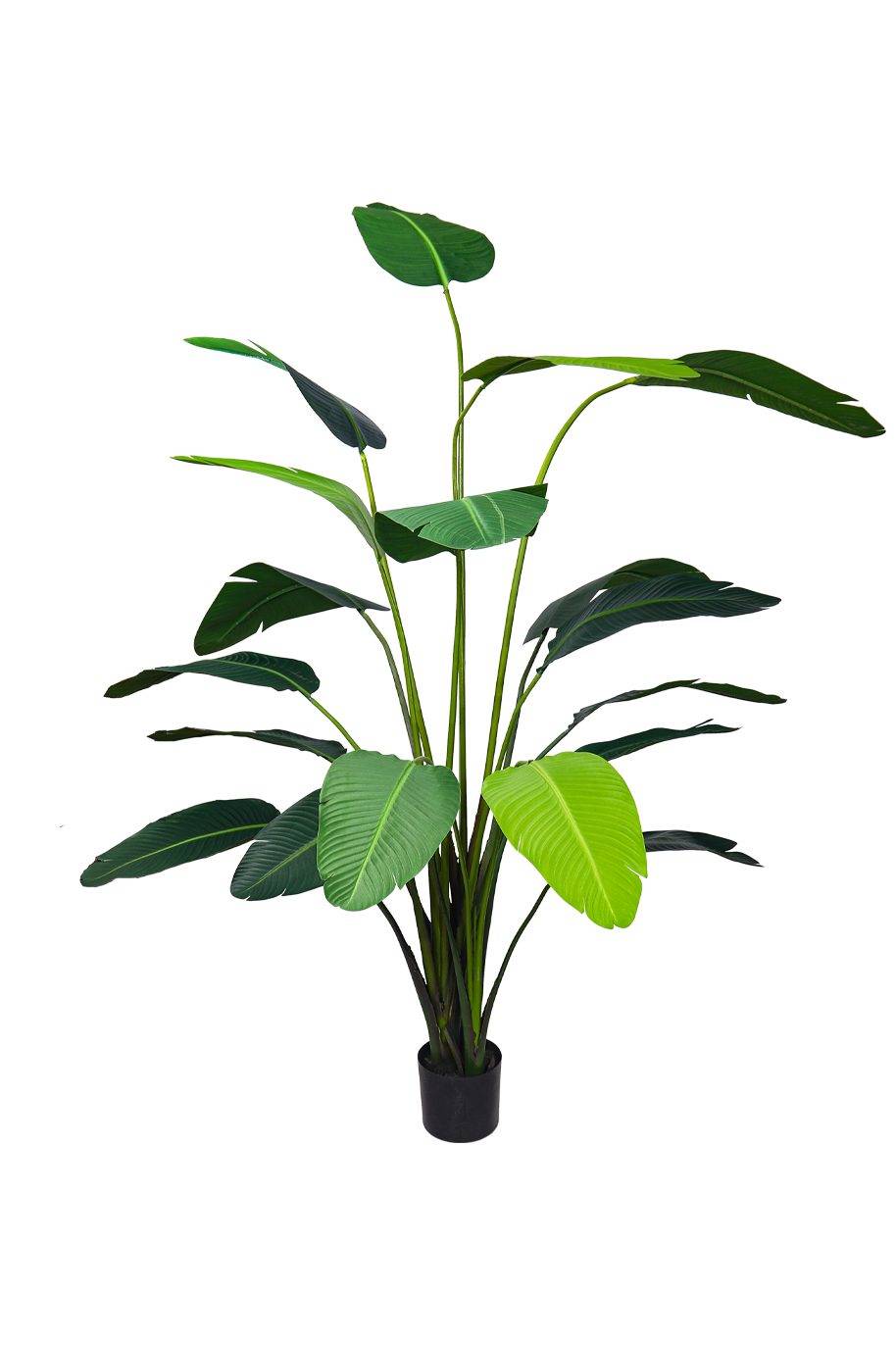 Travellers Palm Artificial 230cm