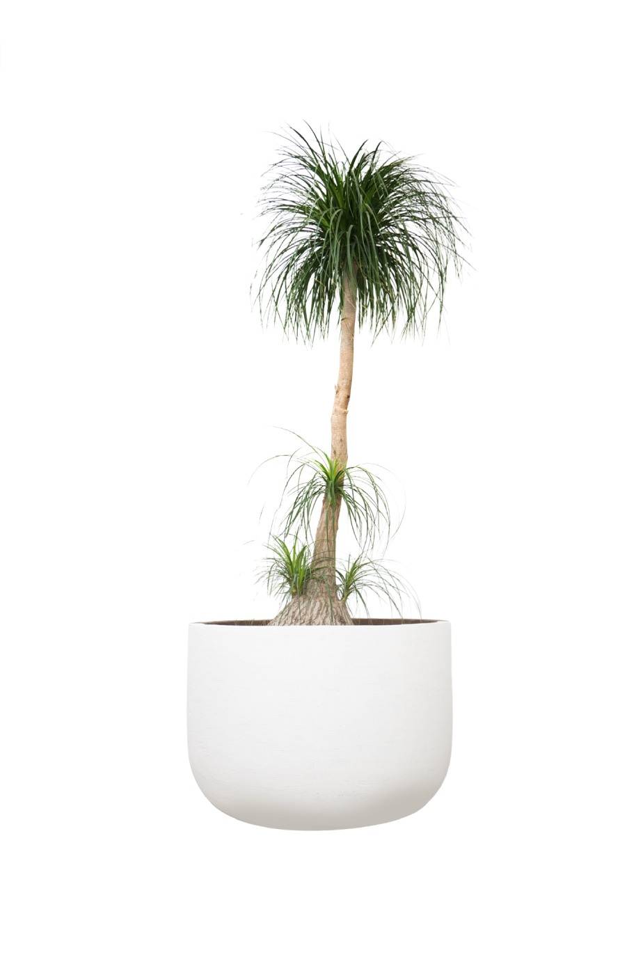 PS Decor