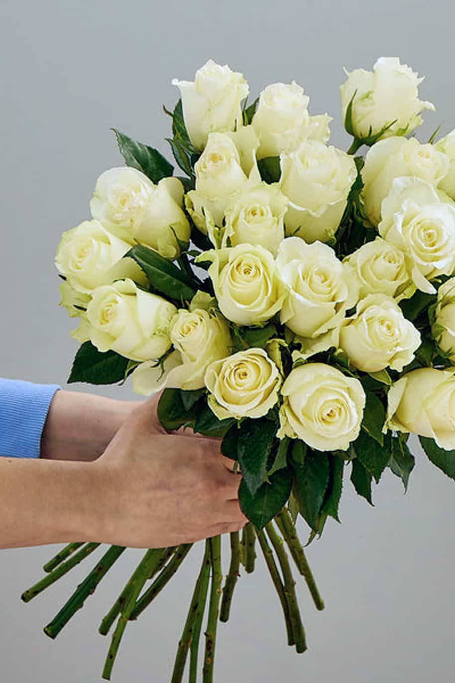 White Blooms