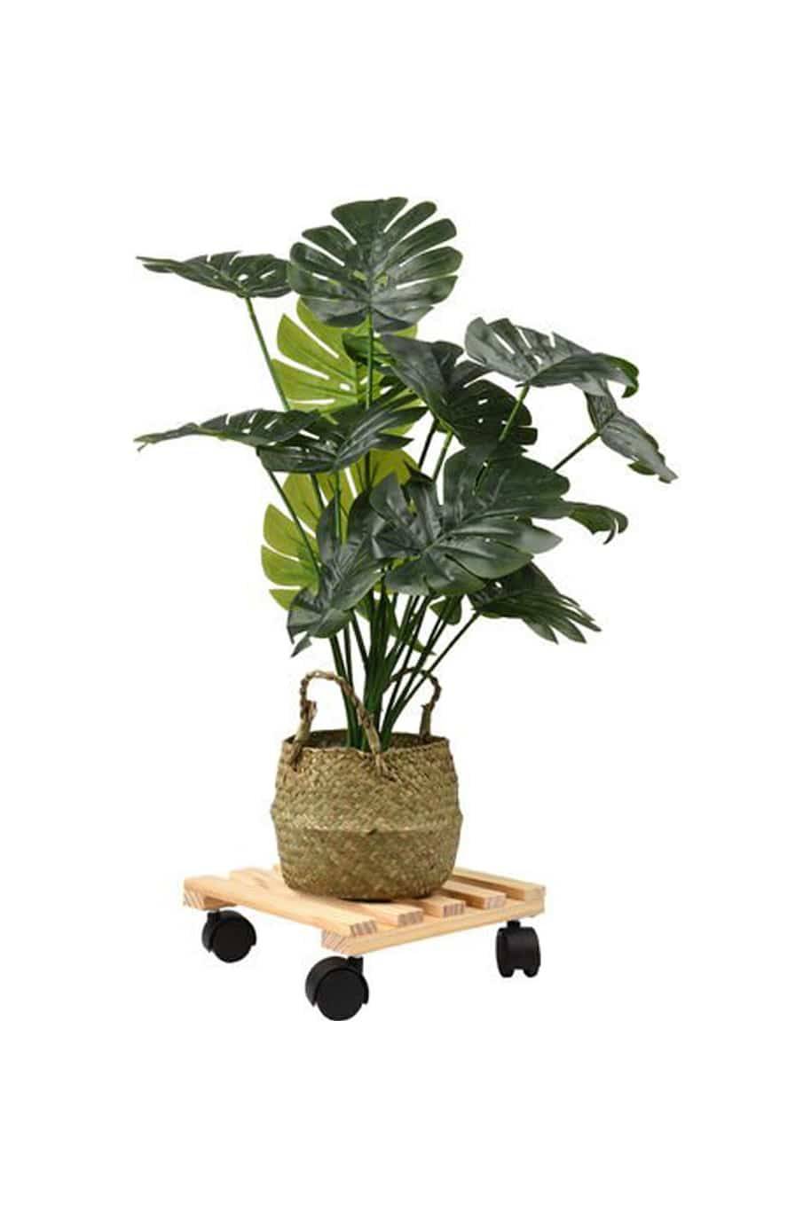 Moving Plant Stand