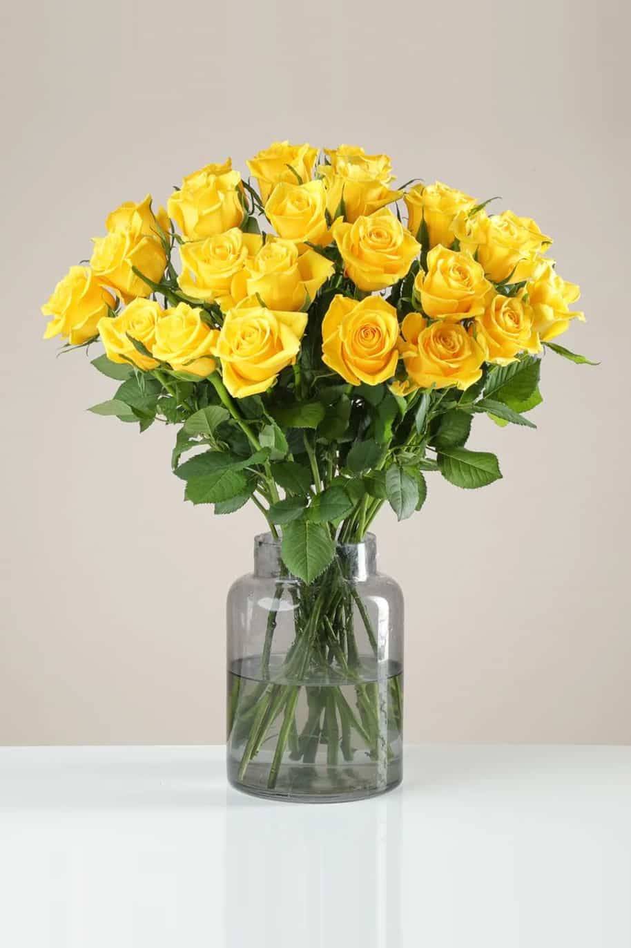 Yellow Blooms