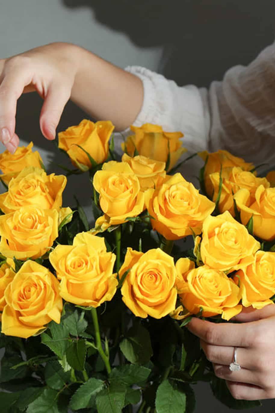 Yellow Blooms