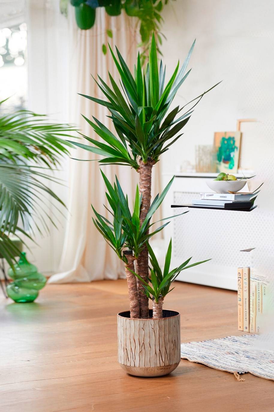 indoor house plant stakes Indoor Pot Gnome Stakes / Plant Pot Decoration  Wood River Iron Works