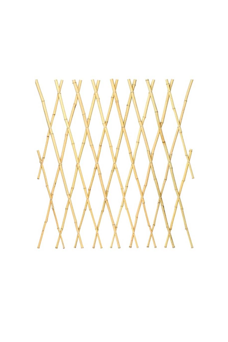 Bamboo Trellis