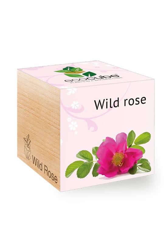 Ecocube – Wild Rose