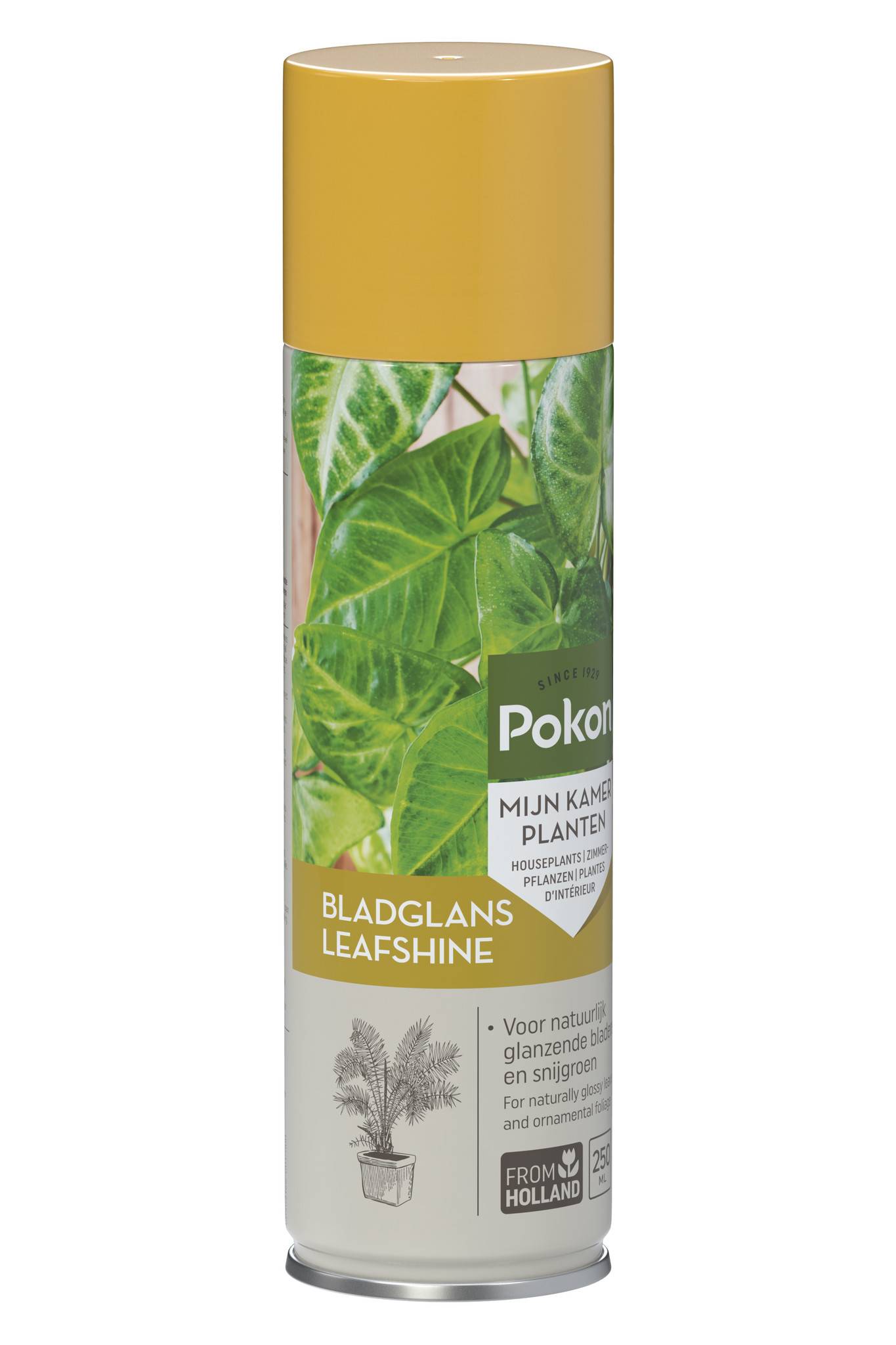 Pokon Leafshine Spray