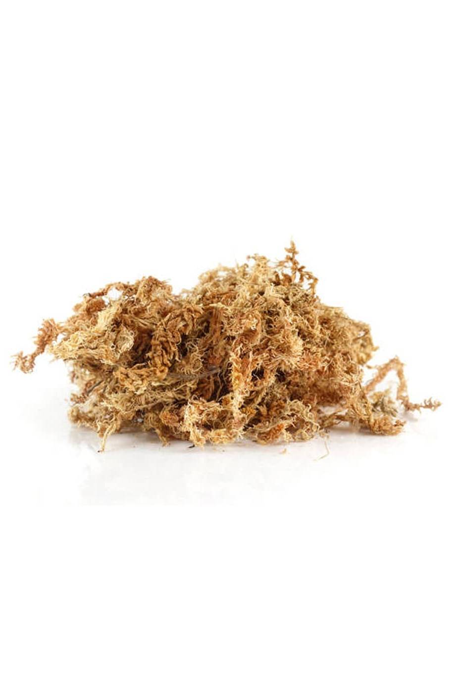 Sphagnum Dried Moss
