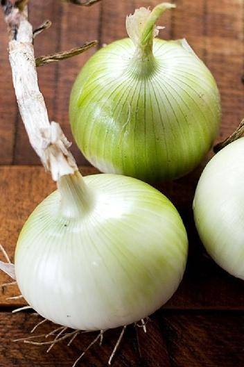 White Onion Seeds