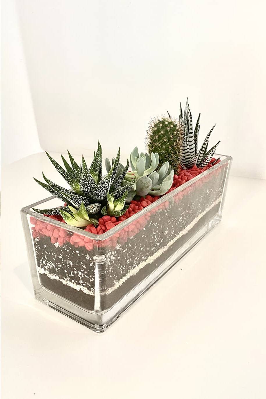 Recta Spiked Terrarium