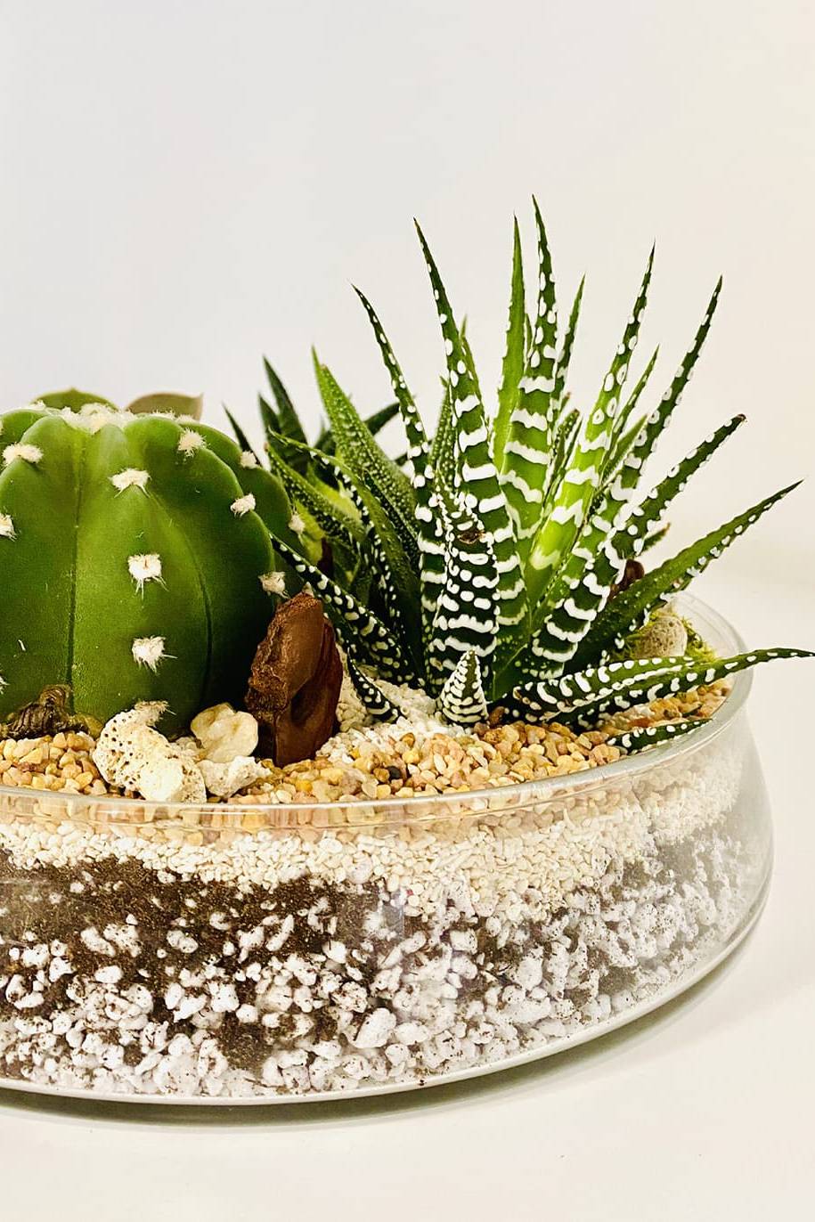 Round Sandy Terrarium