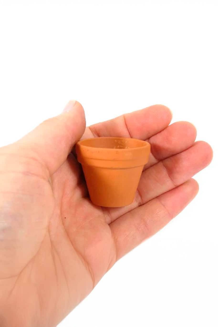 Tiny Terracotta Pot