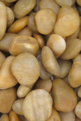 Yellow Stone