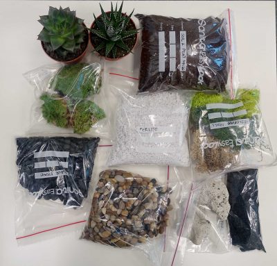 Terrarium DIY Basic Kit for One-Gallon Sized Container