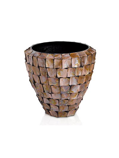 Coddler Mother of Pearl Brown