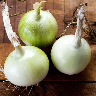 White Onion Seeds